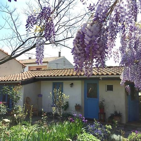 La Campagne Dans La Ville Narbonne Kültér fotó