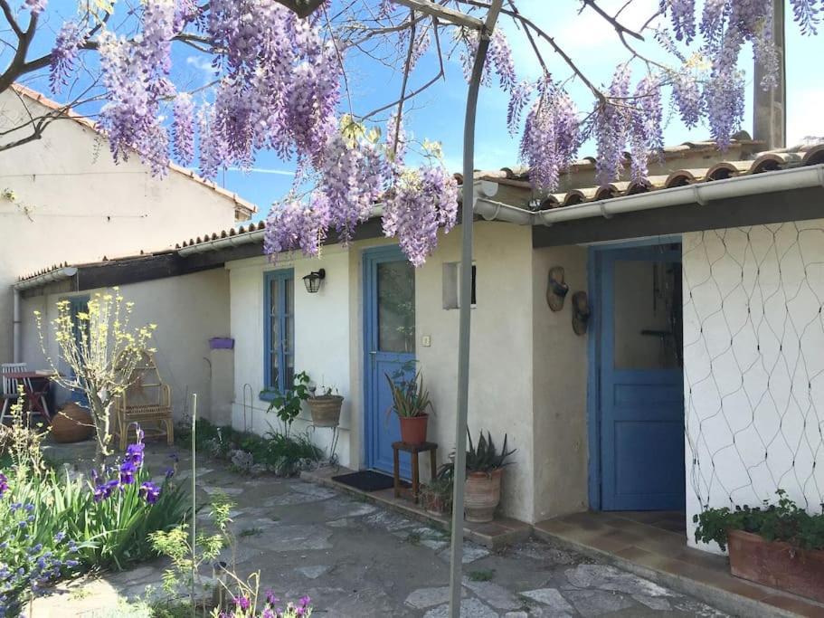 La Campagne Dans La Ville Narbonne Kültér fotó