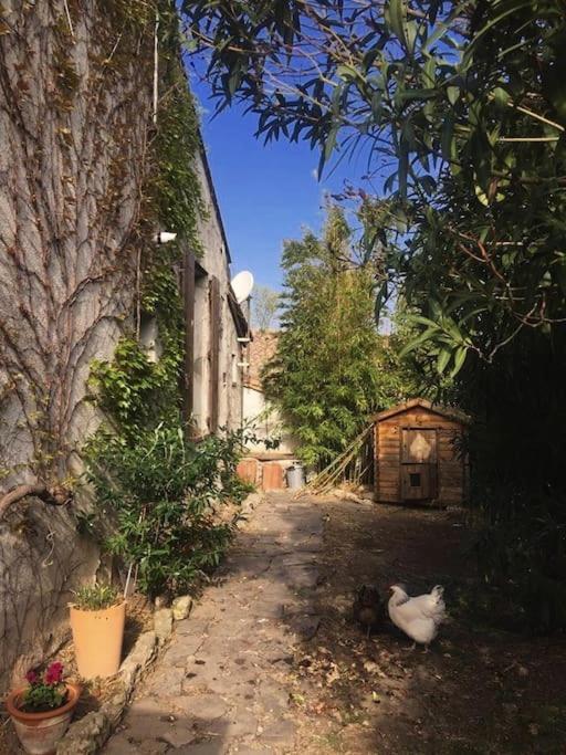 La Campagne Dans La Ville Narbonne Kültér fotó
