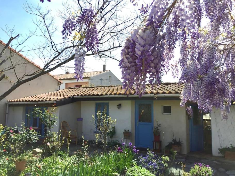 La Campagne Dans La Ville Narbonne Kültér fotó
